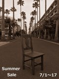 2017 summer 文字入り1s.jpg
