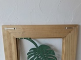 monstera L 3.jpg